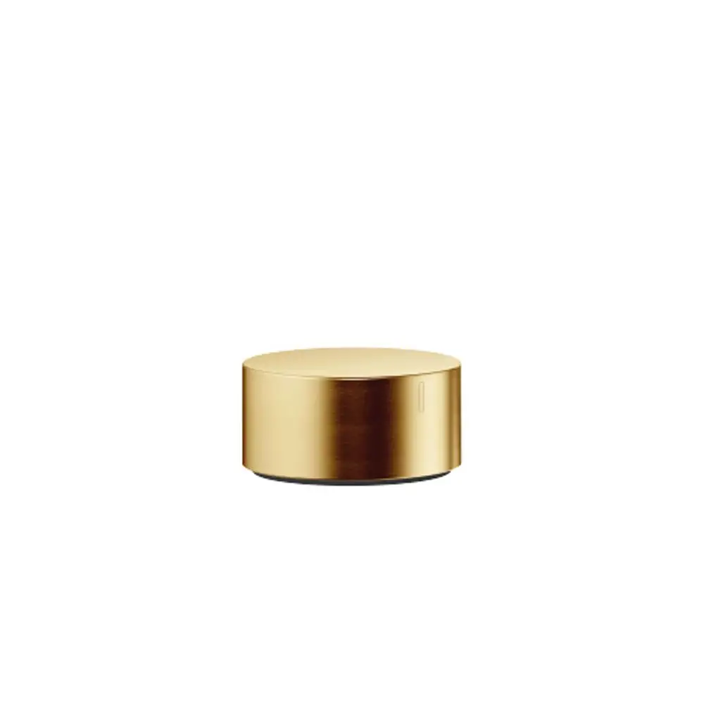 DORNBRACHT Seitenventil , linksschließend SERIENSPEZIFISCH 20000741 Messing gebürstet (23kt Gold), 20000741-28 Galeriebild 1